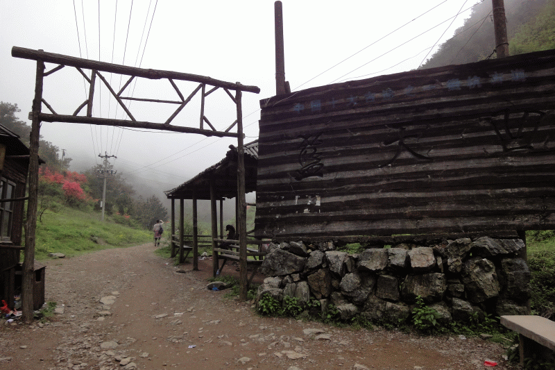 dsc09225.gif