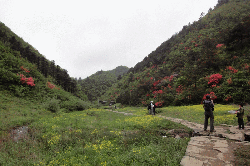 dsc09224.gif