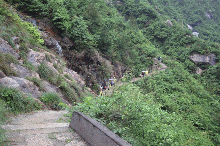 dsc09234.gif