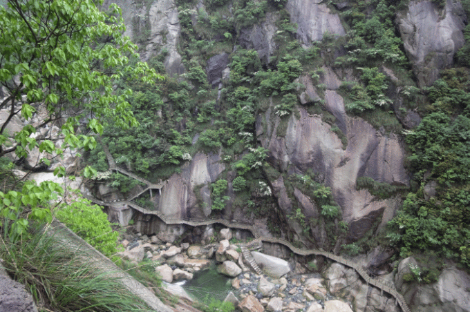 dsc09241.gif