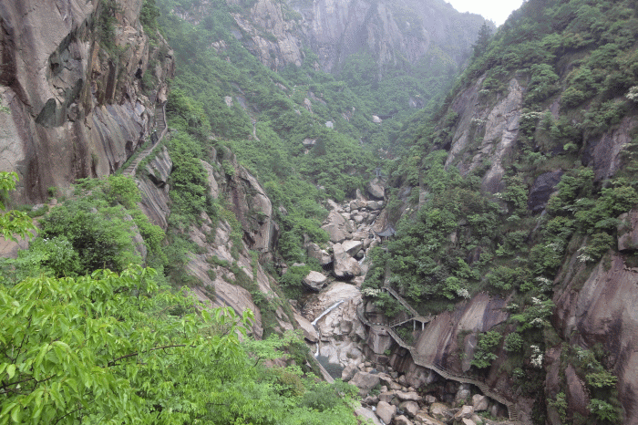 dsc09244.gif