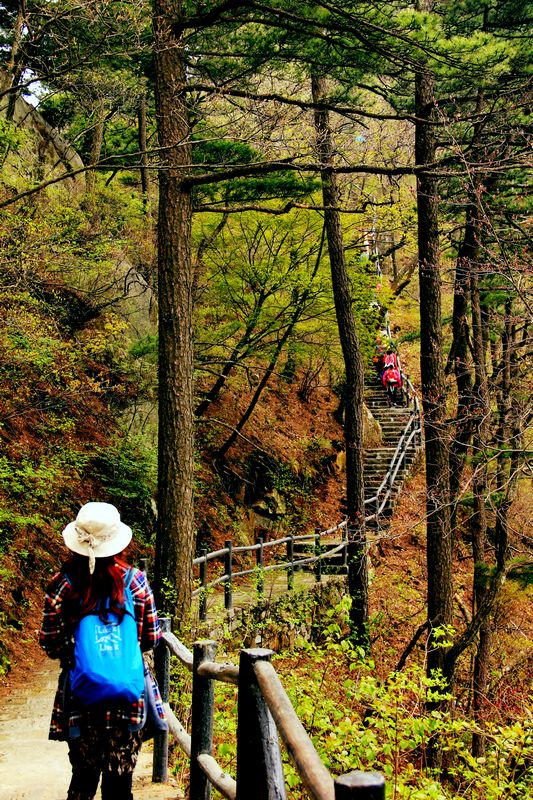 _mg_6635.jpg