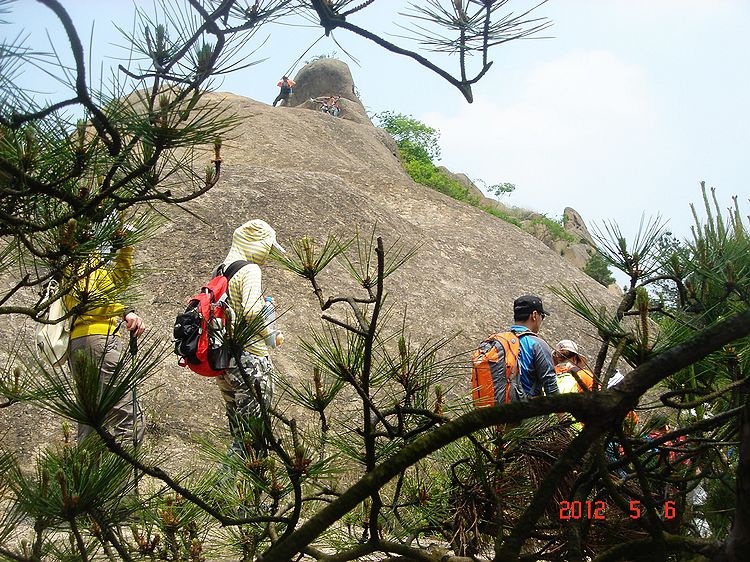 neo_img_dsc08277.jpg