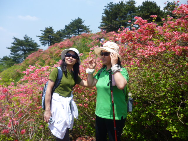 p1020828.jpg