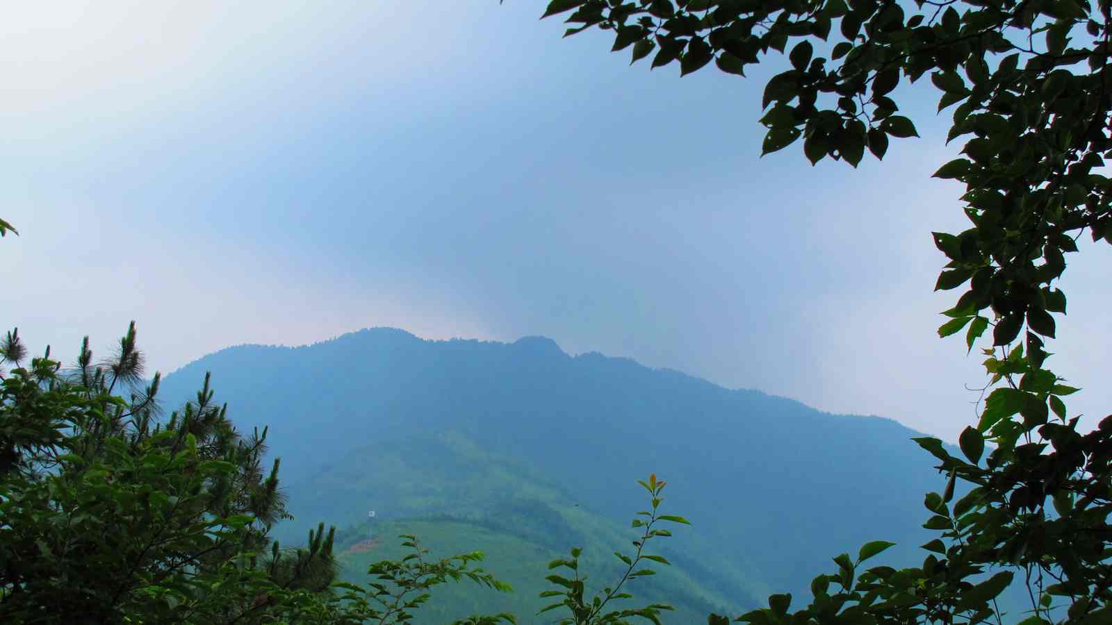 6y 034.jpg