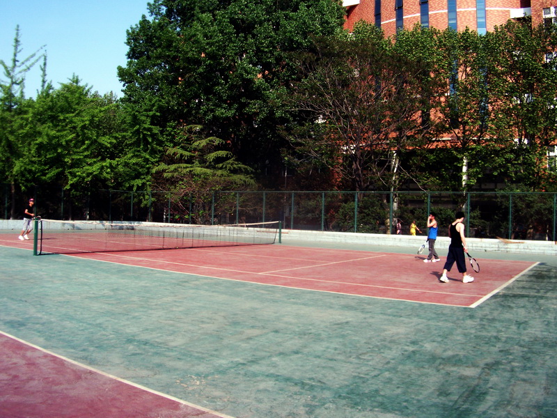 dscf0253.jpg