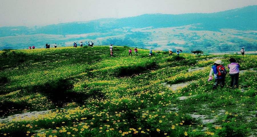 dsc_9727.jpg