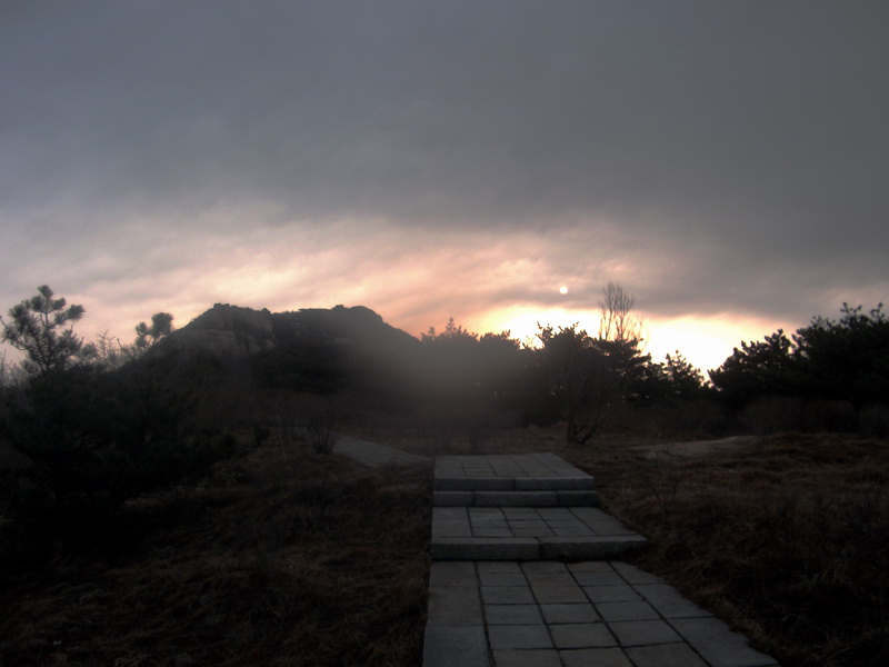dscf0295.jpg