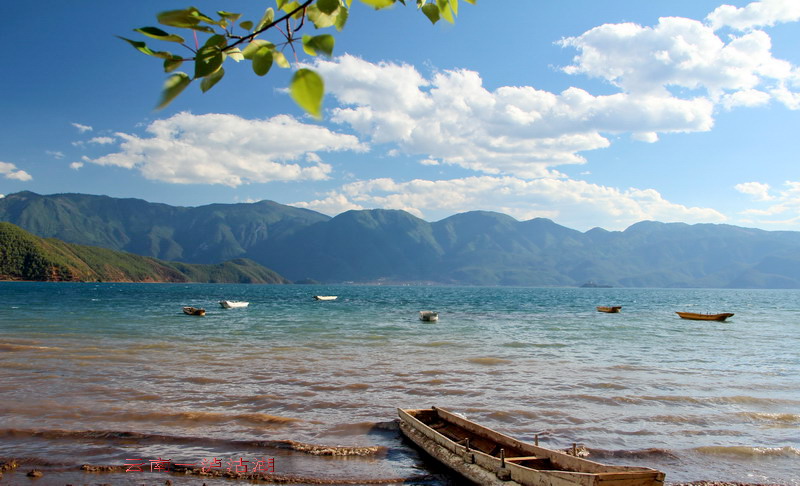 img_3862_缩小大小.jpg