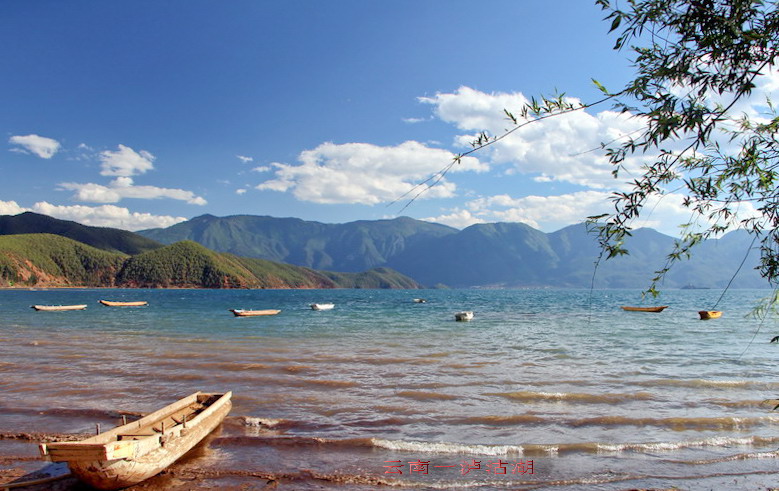 img_3863_缩小大小.jpg