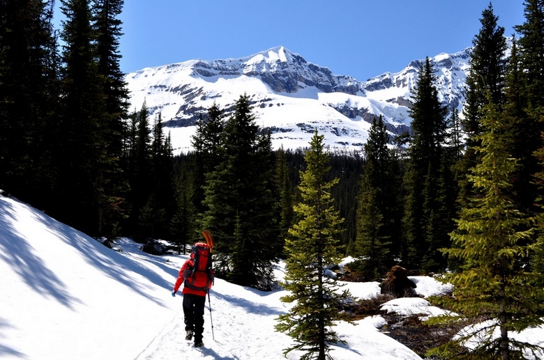 lake ohara8.jpg