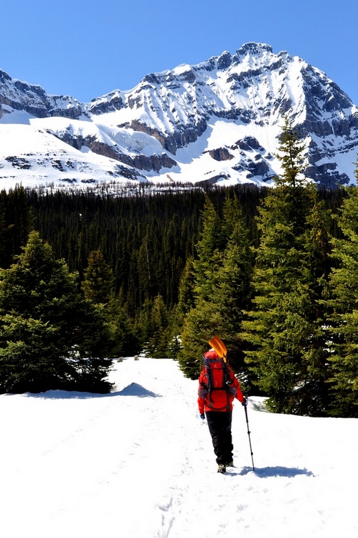 lake ohara11.jpg