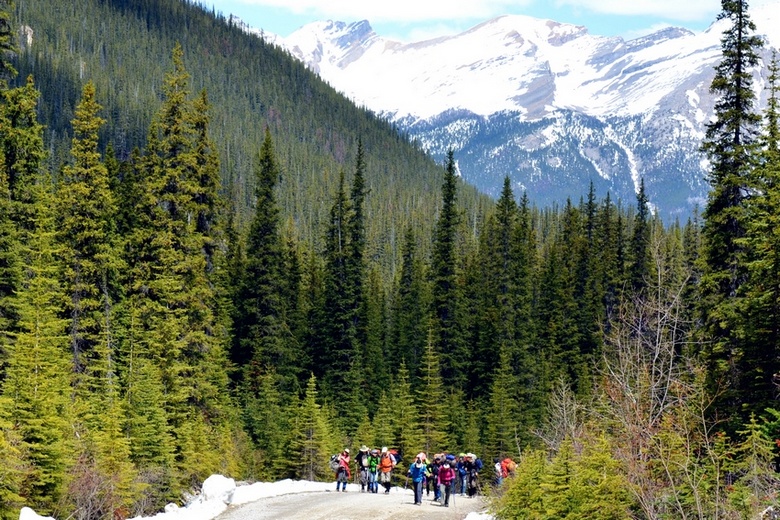 lake ohara35.jpg