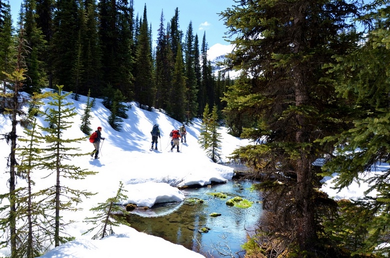 lake ohara50.jpg