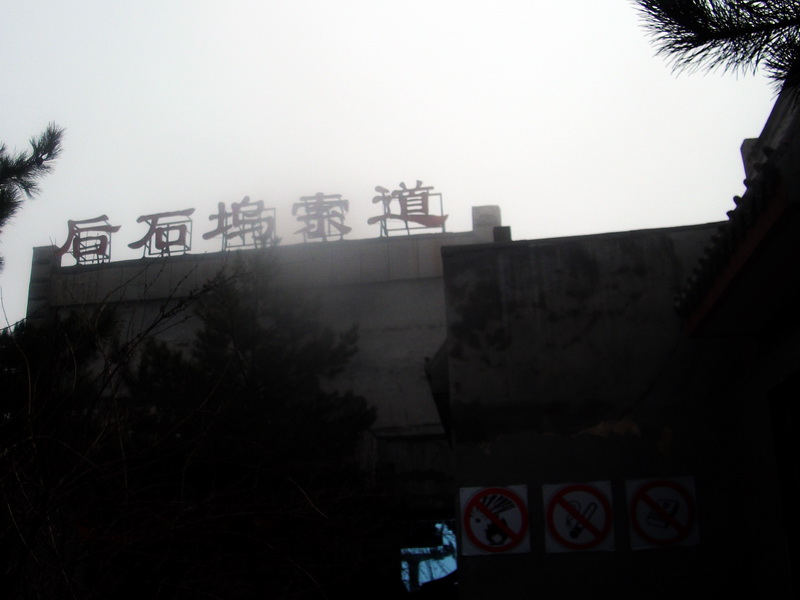 dscf0354.jpg