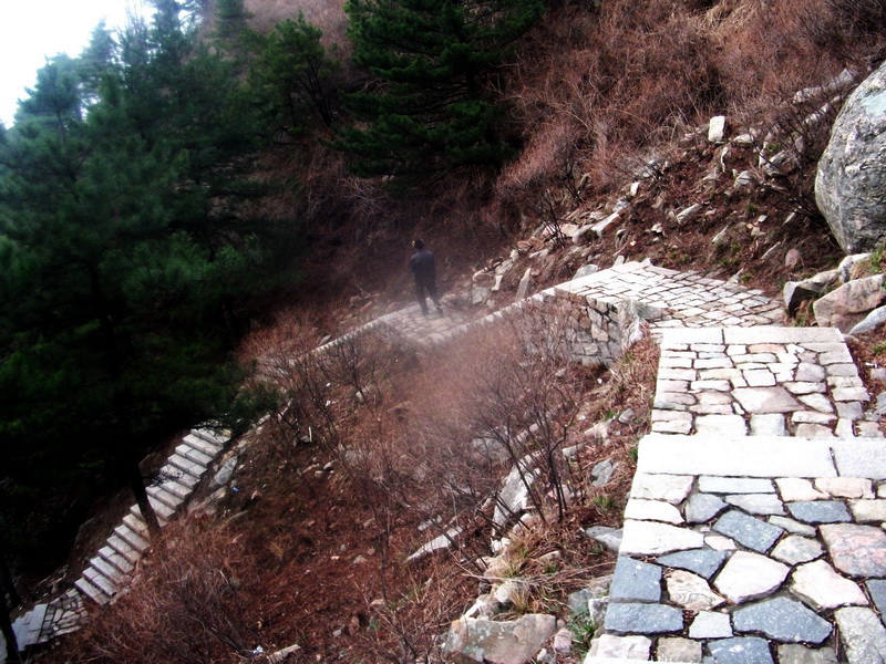 dscf0345.jpg