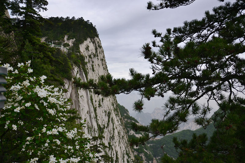 dsc_0066.jpg