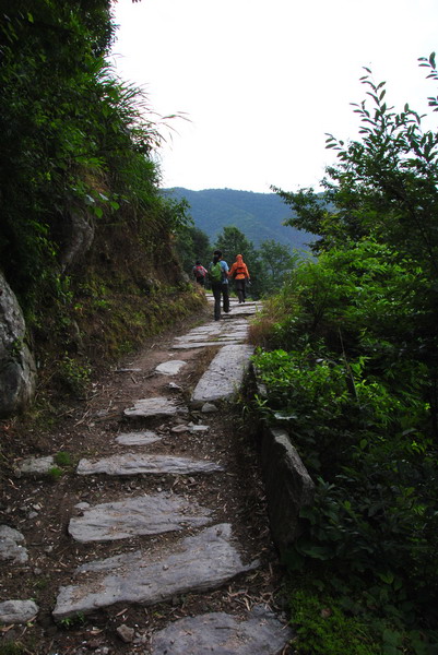 20120609ģǱŵ_309_С.jpg