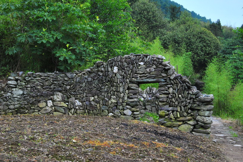 20120609ģǱŵ_312_С.jpg
