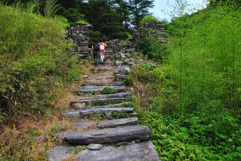 20120609ģǱŵ_315_С.jpg