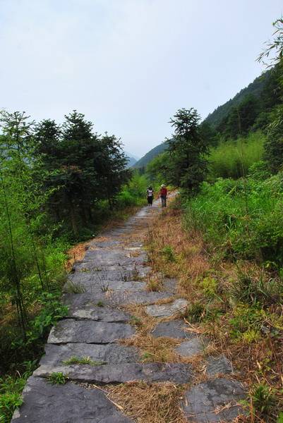 20120609ģǱŵ_316_С.jpg