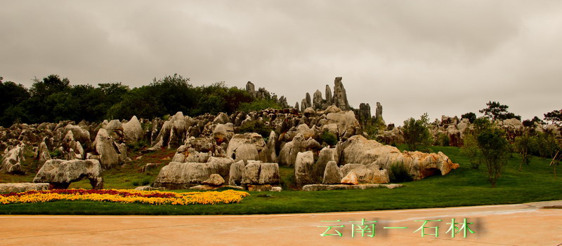 img_3978_缩小大小.jpg