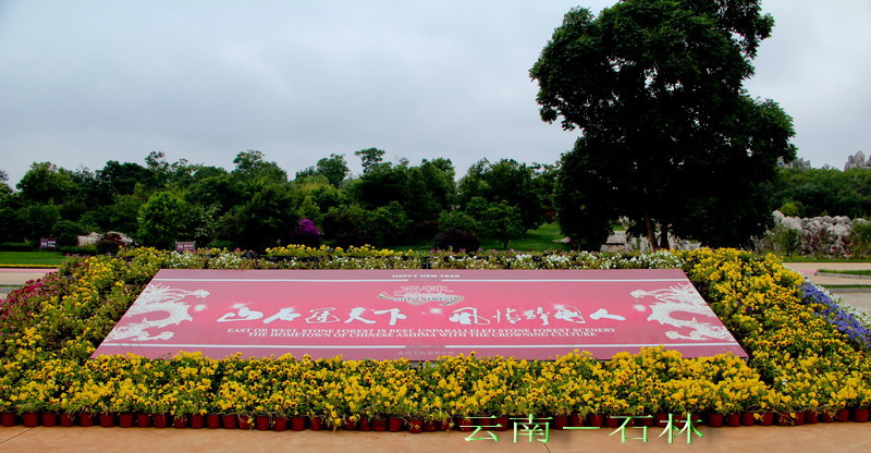 img_3980_缩小大小.jpg
