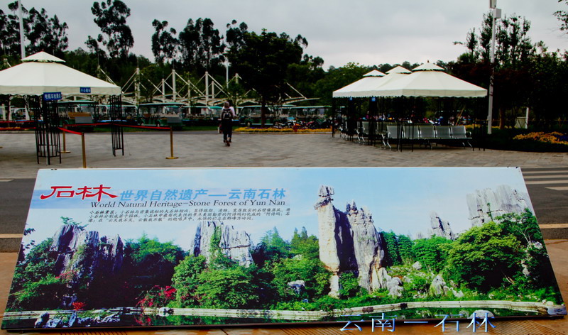 img_3984_缩小大小.jpg