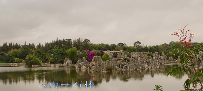 img_3993_缩小大小.jpg