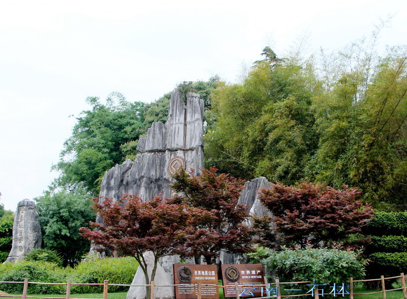 img_3999_缩小大小.jpg