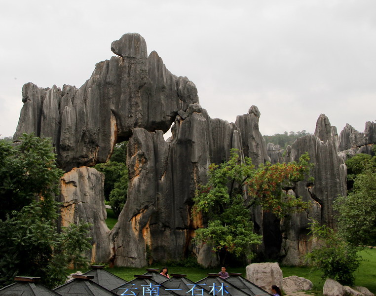 img_4002_缩小大小.jpg