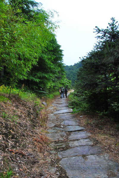 20120609ģǱŵ_314_С.jpg