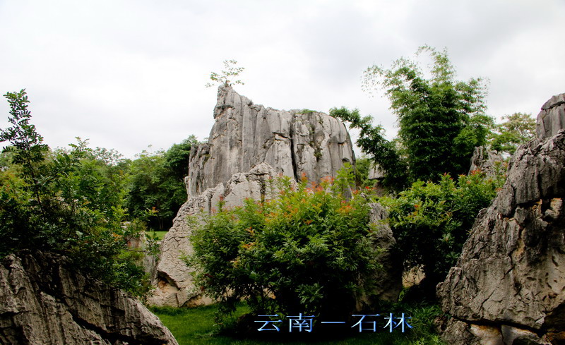 img_4077_СС.jpg