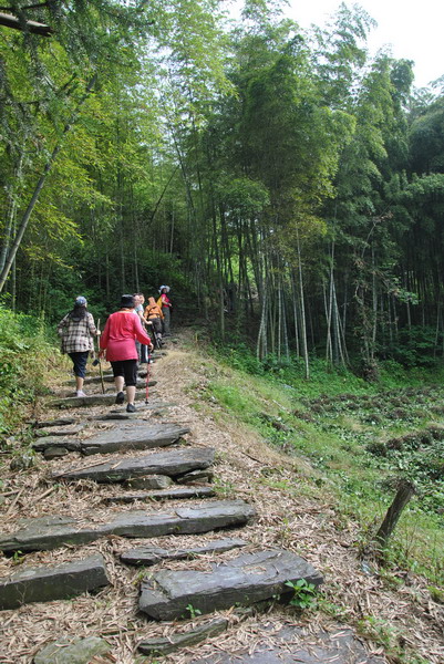 20120609ģǱŵ_301_С.jpg