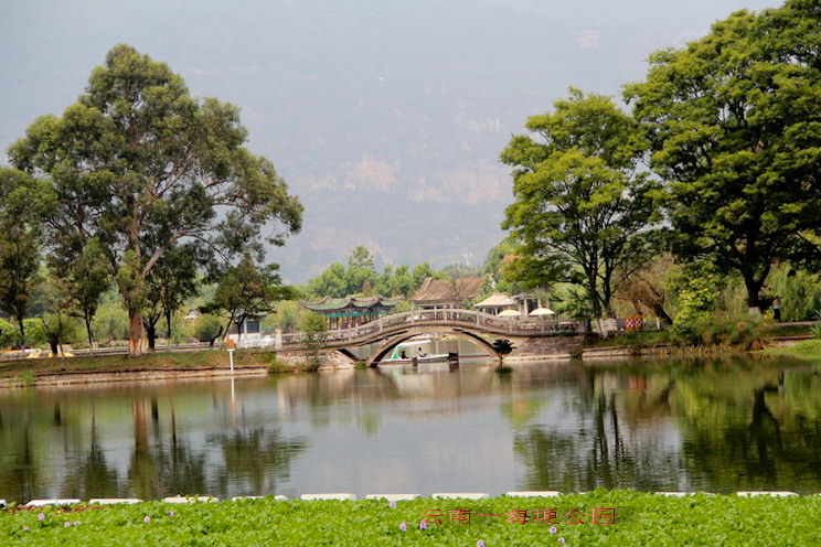 img_4116_缩小大小.jpg