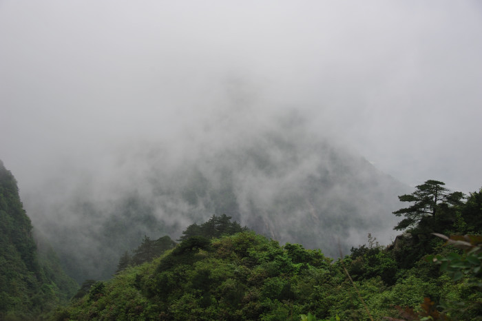 dsc_7883.jpg
