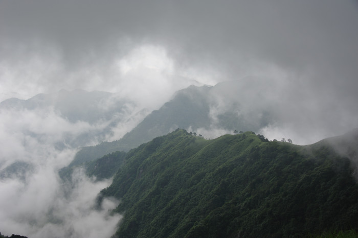 dsc_7847.jpg