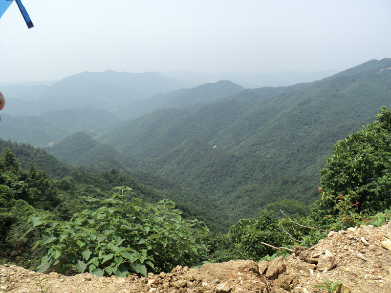 dsc08608_.jpg