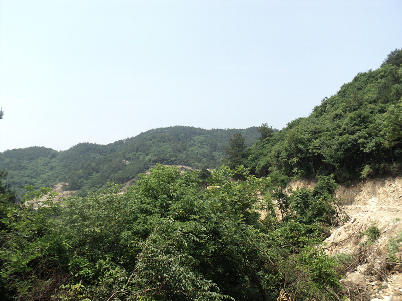 dsc08613_.jpg