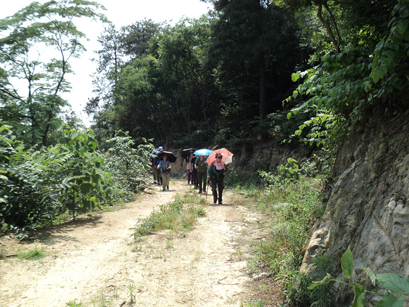 dsc08614_.jpg