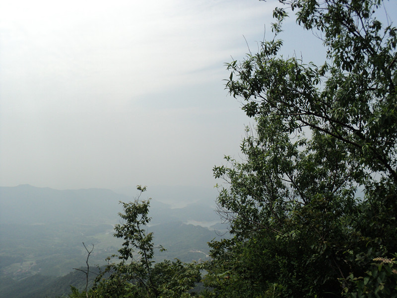 dsc08615_.jpg