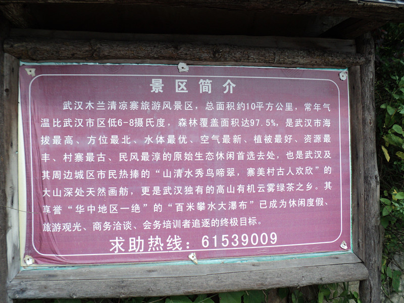 dsc08650_.jpg