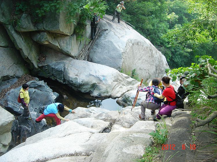neo_img_dsc08487.jpg