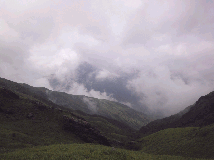 dsc09578.gif