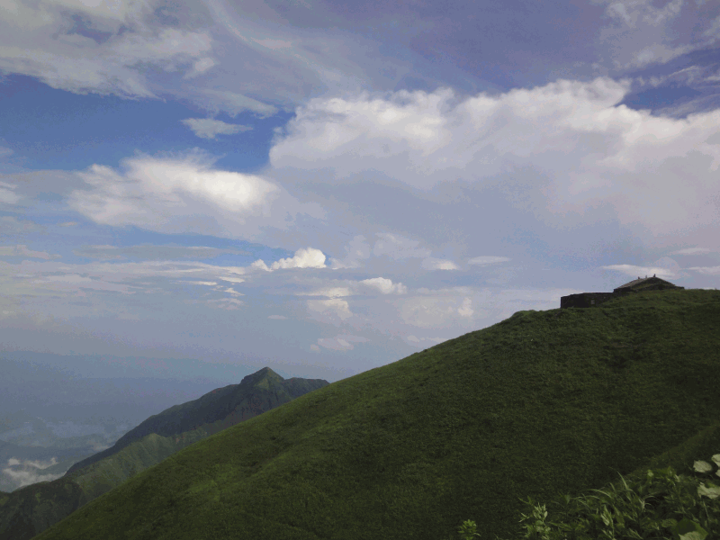 dsc09619.gif