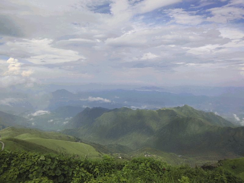 dsc09625.gif