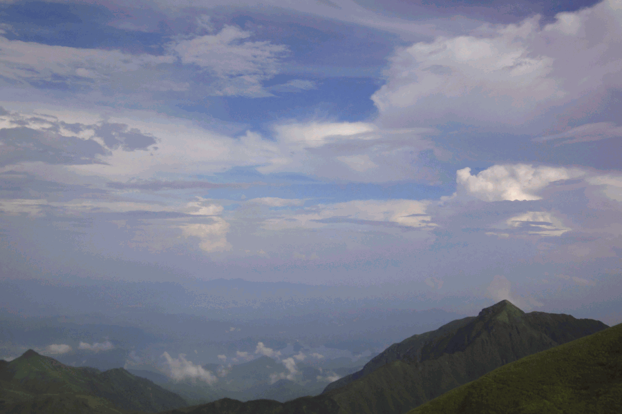 dsc09647.gif