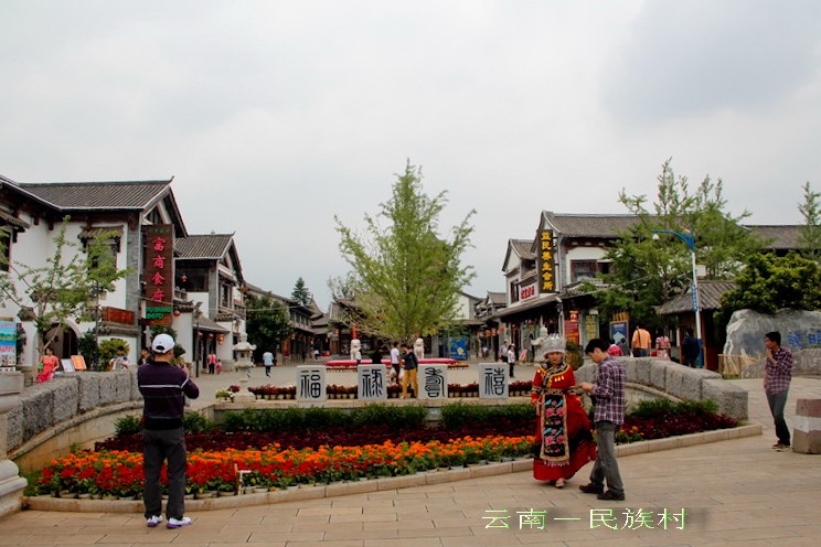 img_4119_缩小大小.jpg