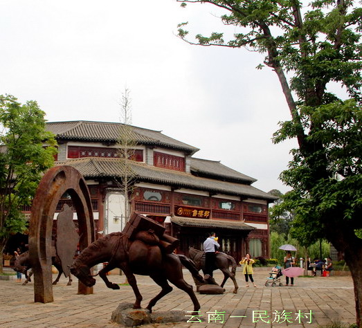 img_4124_缩小大小.jpg