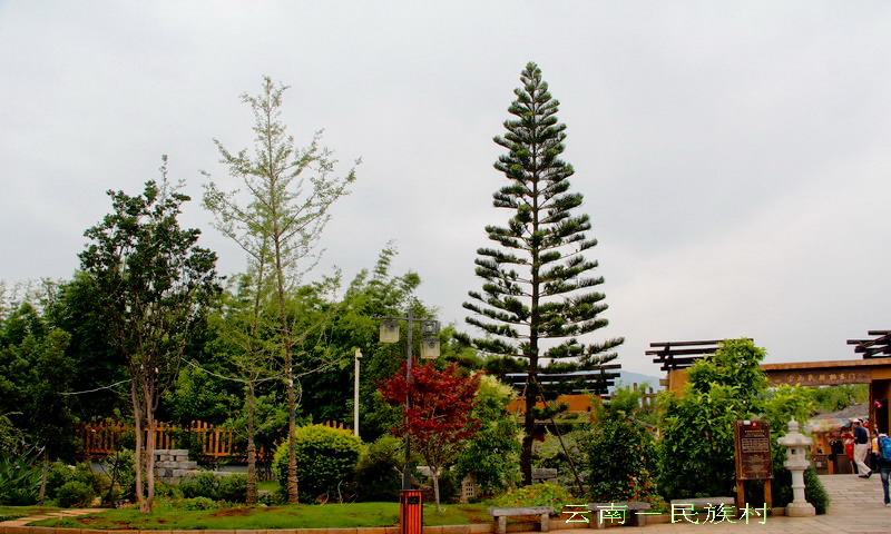 img_4125_缩小大小.jpg